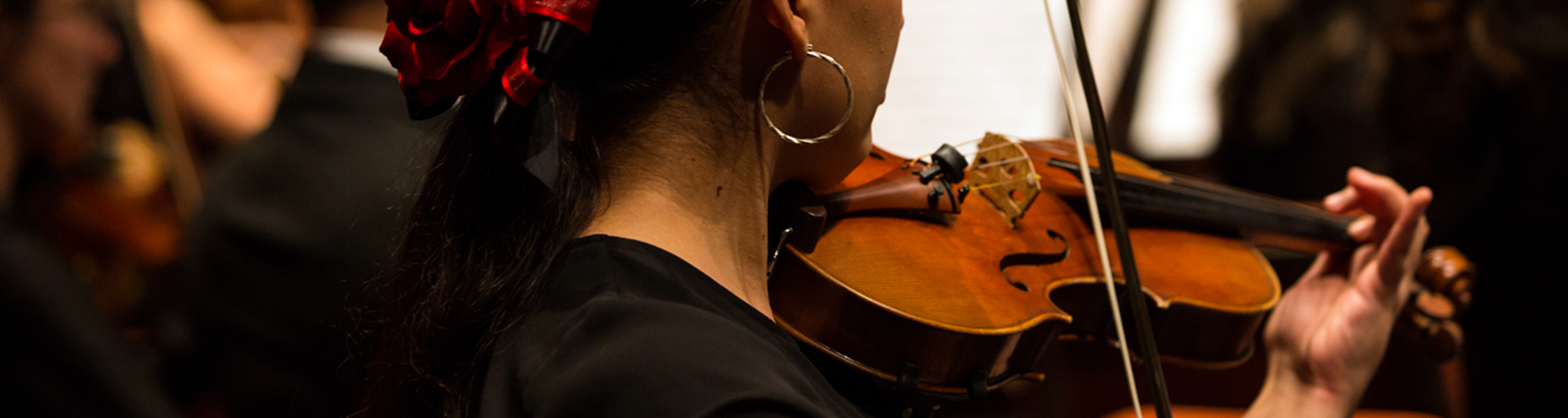 High school string orchestra teacher as a career choice: A survey