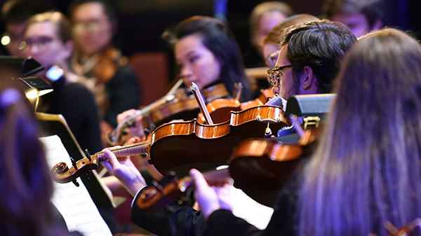 Chamber Orchestra